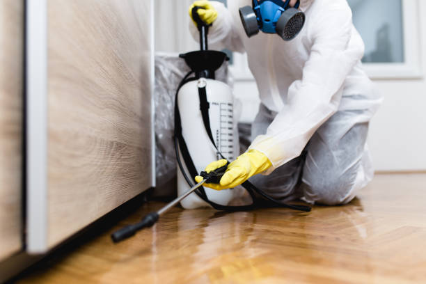 Best Cockroach Control Services  in Canby, MN