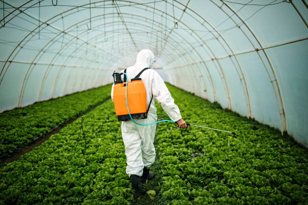 Best Pest Control Near Me  in Canby, MN