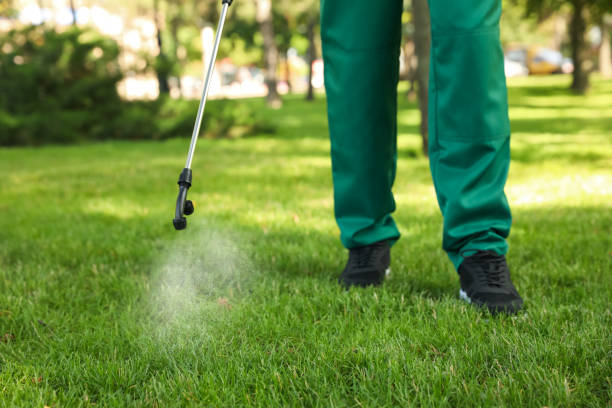 Best Flea Control Services  in Canby, MN