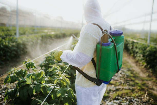 Best Affordable Pest Control Services  in Canby, MN